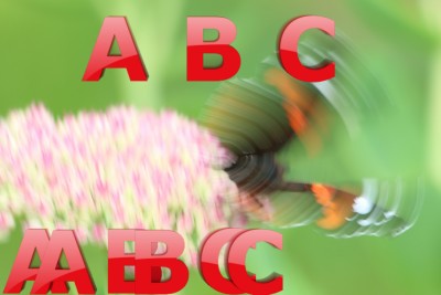 Bild+Pinsel.jpg