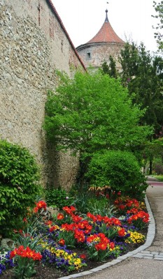 Rabatte an der Stadtmauer.JPG