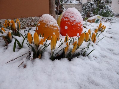 Frühling_2016.JPG