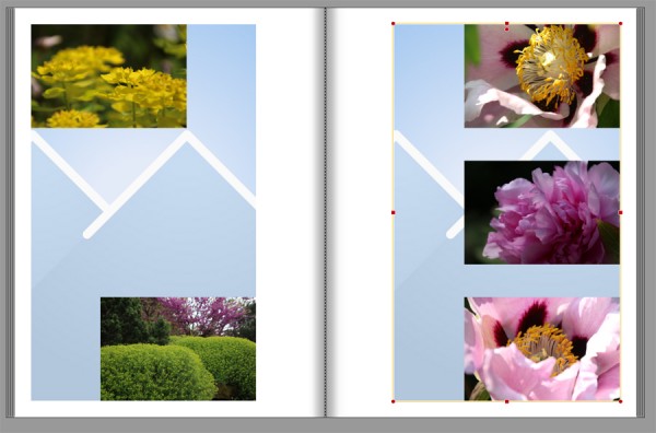 Seitenlayout.jpg