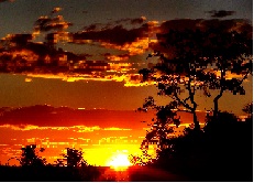 Sonnenuntergang am Kavango.jpg
