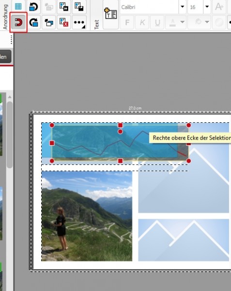 Layout.jpg