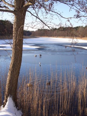 P1060611_640x480.JPG