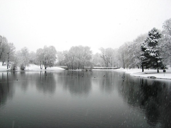 IMG_4777 Park.jpg