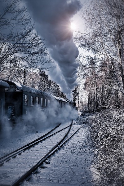 8268775241_c685267946_c[1].jpg