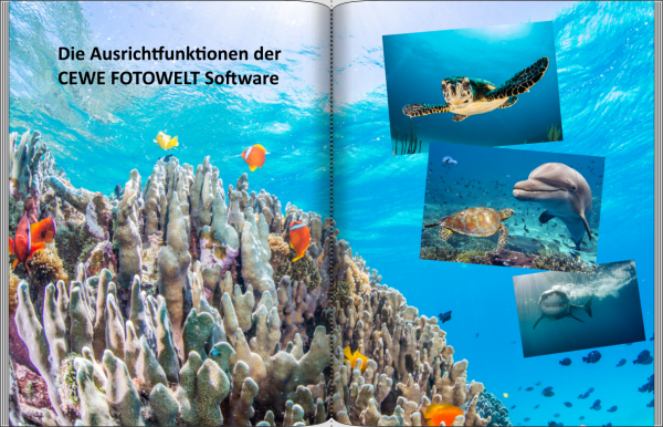 Die Ausrichtfunktionen der CEWE FOTOWELT Software.png