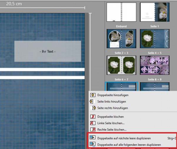 Doppelseiten-Layout.jpg