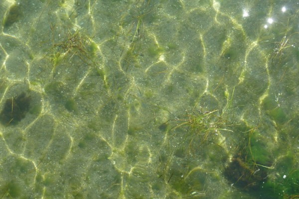 Wasser P1140262skal.JPG