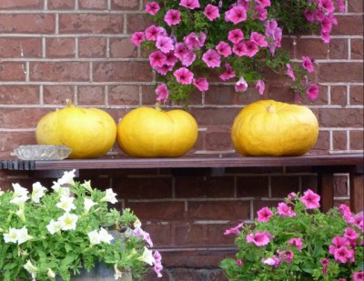 Herbst.jpg