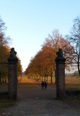 Herbst im Brühler Schlosspark 2.JPG