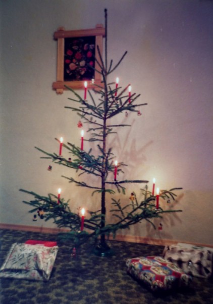 Weihnachtsbaum.jpg