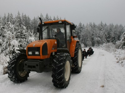 Schlittenfahren_im_Wald.jpg