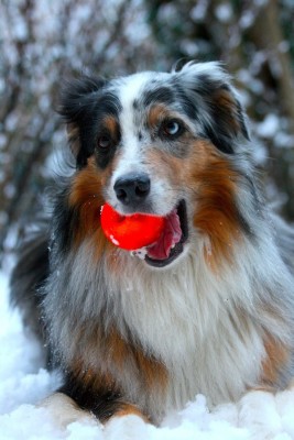 IMG_6800 Kopie.JPG