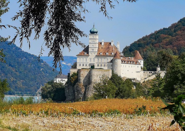 2018-Radfahrt Wachau-2018082920.jpg