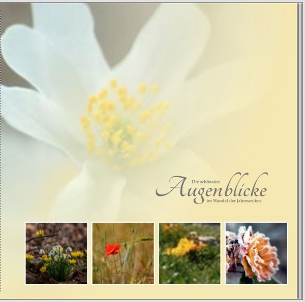 Augenblicke2.jpg (66.94 KiB) 17581 mal betrachtet Augenblicke2.jpg