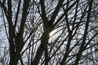 ChallengeFrühling2.JPG