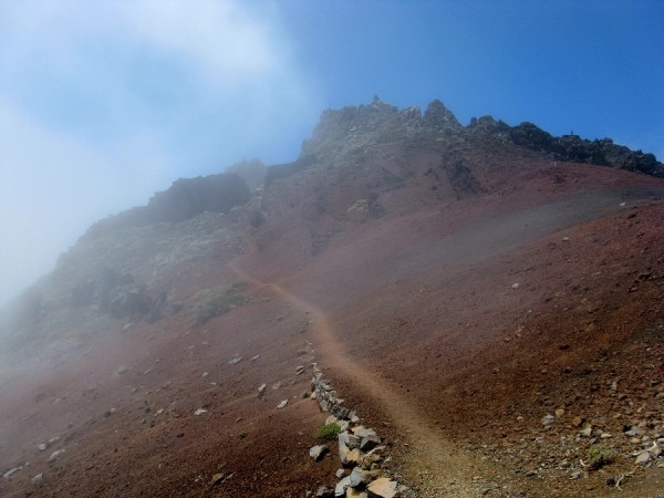 IMG_7478.JPG