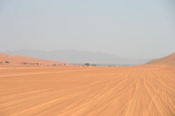 DSC_0363.jpg