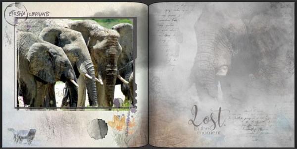 elefanten2.JPG