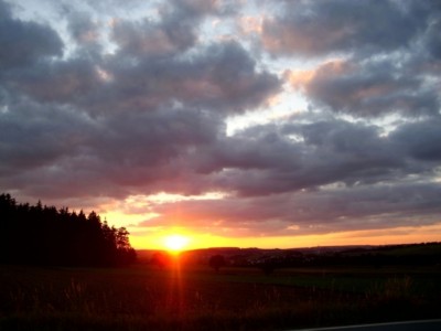 Foto Nadine Krauß.jpg