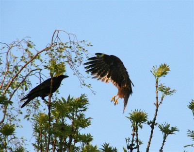 ceweIMG_1596.JPG