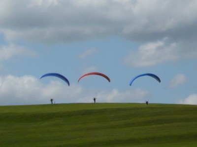 P1010381-1.jpg