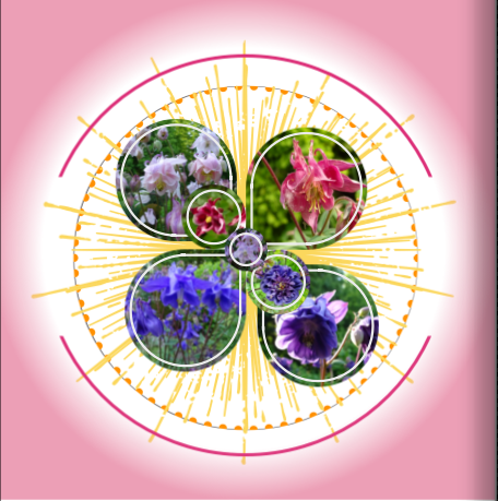 Mandala aus Akeleiblüten.png