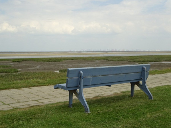 DSC00836.JPG