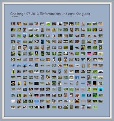 Challenge 07-2013 Elefantastisch und echt Kängurös.jpg