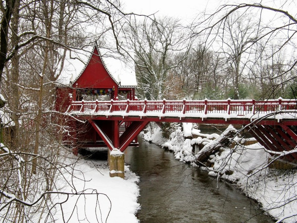 Zoo im Winter.JPG