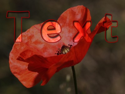 Text2.jpg
