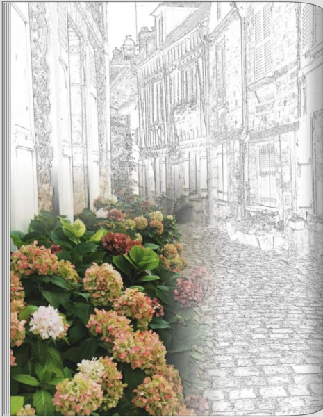 senlis.JPG