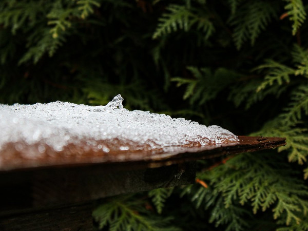 Schnee_von_gestern.jpg