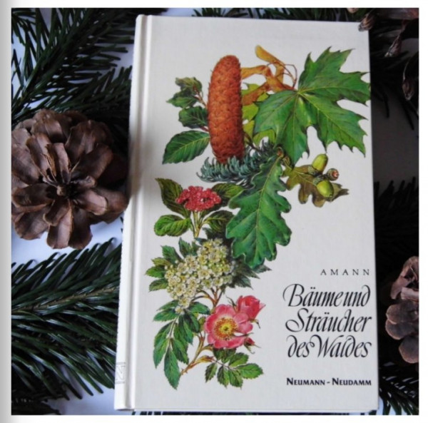Gewinnspiel 8.jpg