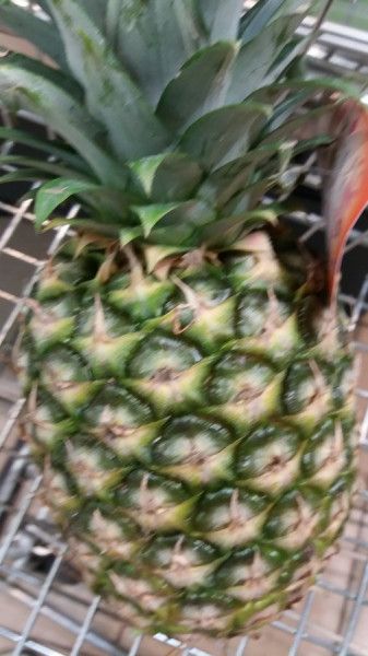 20201230_143847.jpg