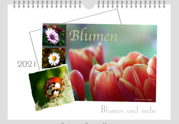 Blumen 1.png