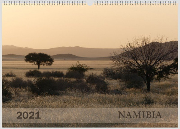 Namib 1.jpg