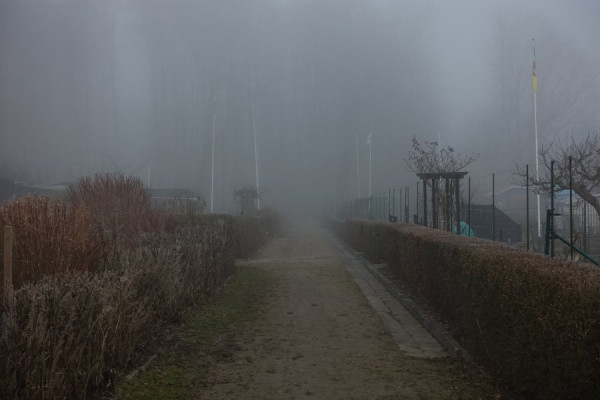 Kleingarten 1 im Nebel DSC00521s.JPG