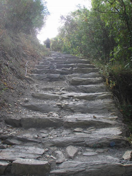 Weg Vernazza-Corniglia.jpg