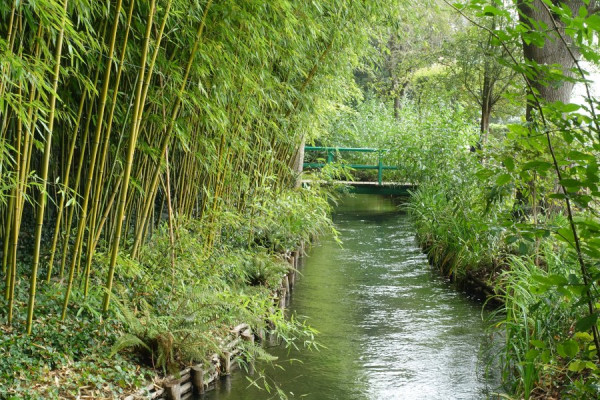 Brücke in Monets Gartens.JPG