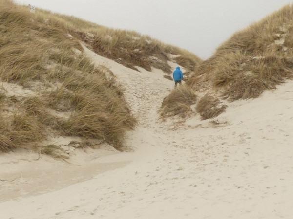 Düne Amrum.jpg