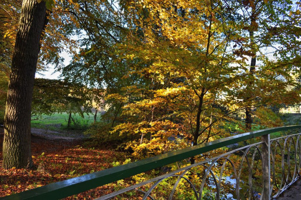 2109_Herbst.jpg