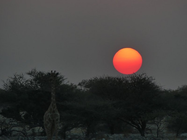 Sonnenuntergang 1.jpg