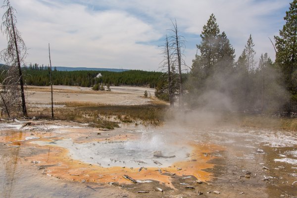 Yellowstone NP.jpg