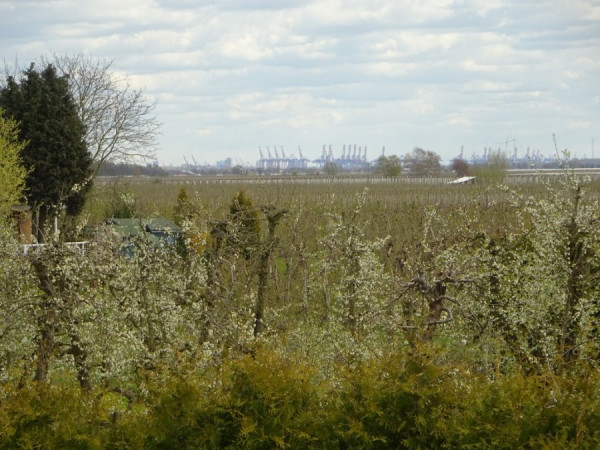 Containerhafen.jpg