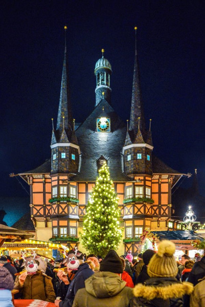 Rathaus Wernigerode N81_2297 b.jpg