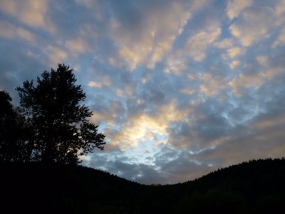 P1090147.jpg