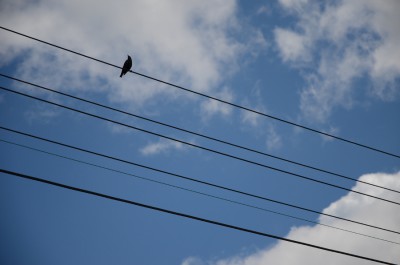 Himmel_DSC_2524.JPG