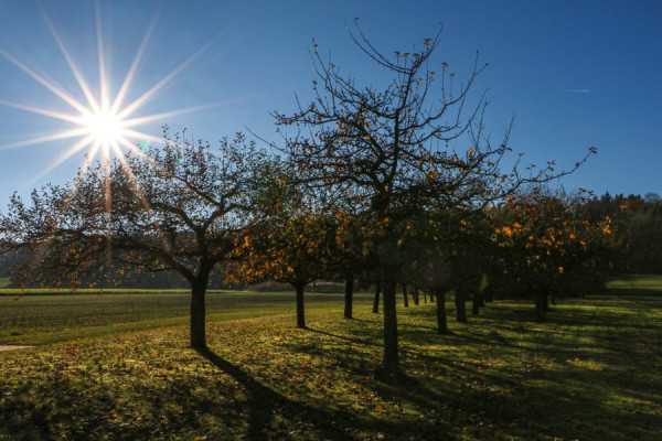 November-Sonne.jpg