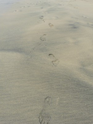 Sand.jpg